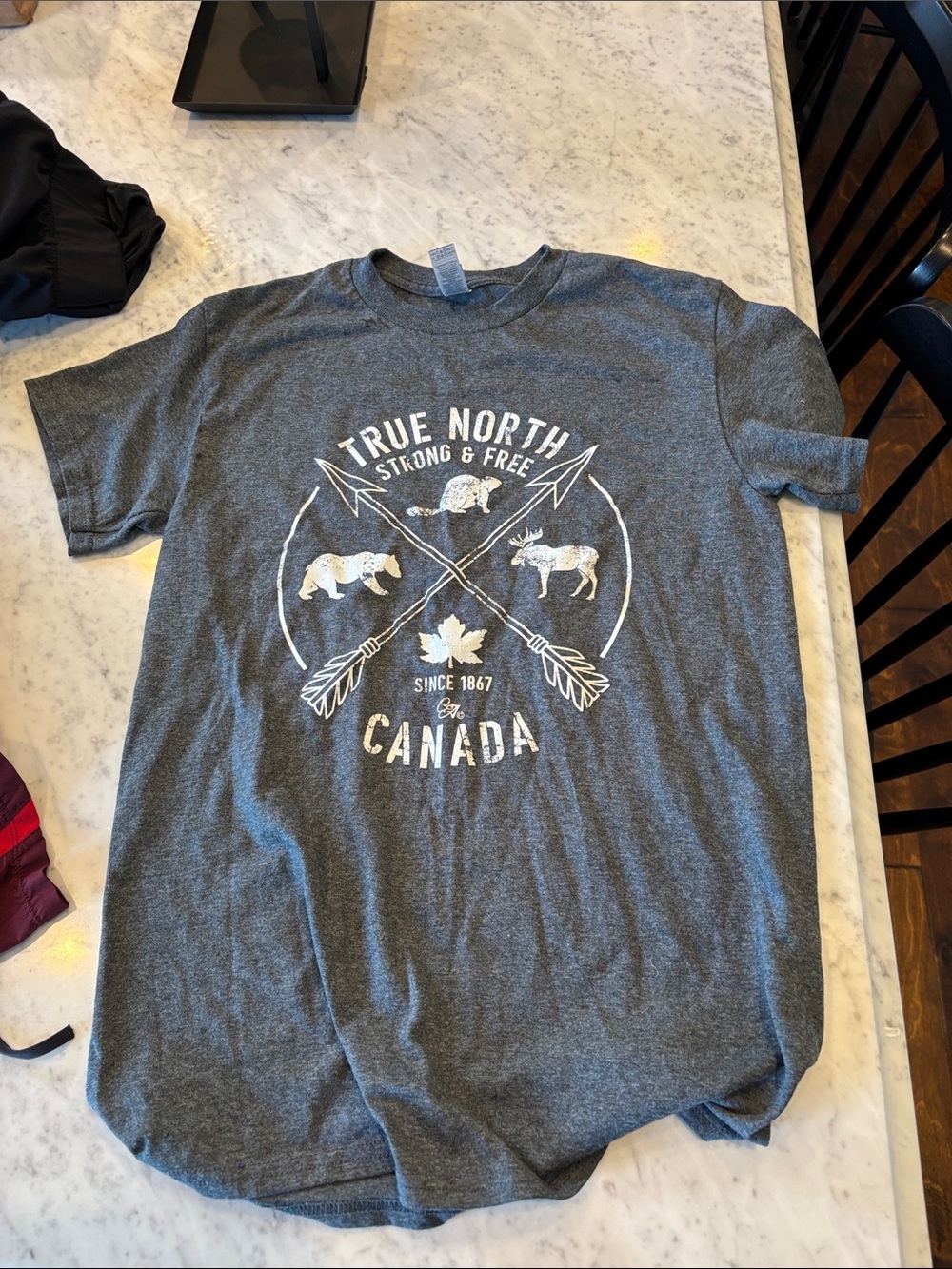 Gildan Grey True North Canada Graphic Tee